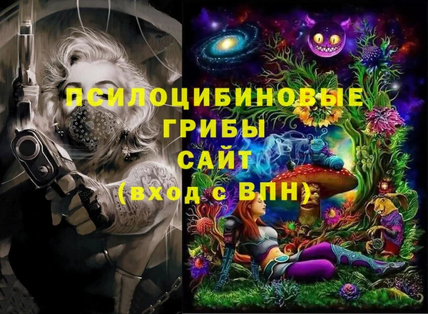 герыч Алексин