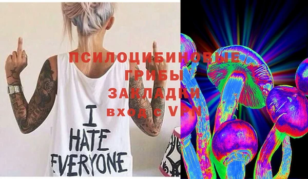 герыч Алексин
