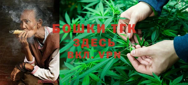 гашик Алексеевка