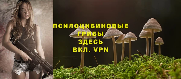 герыч Алексин