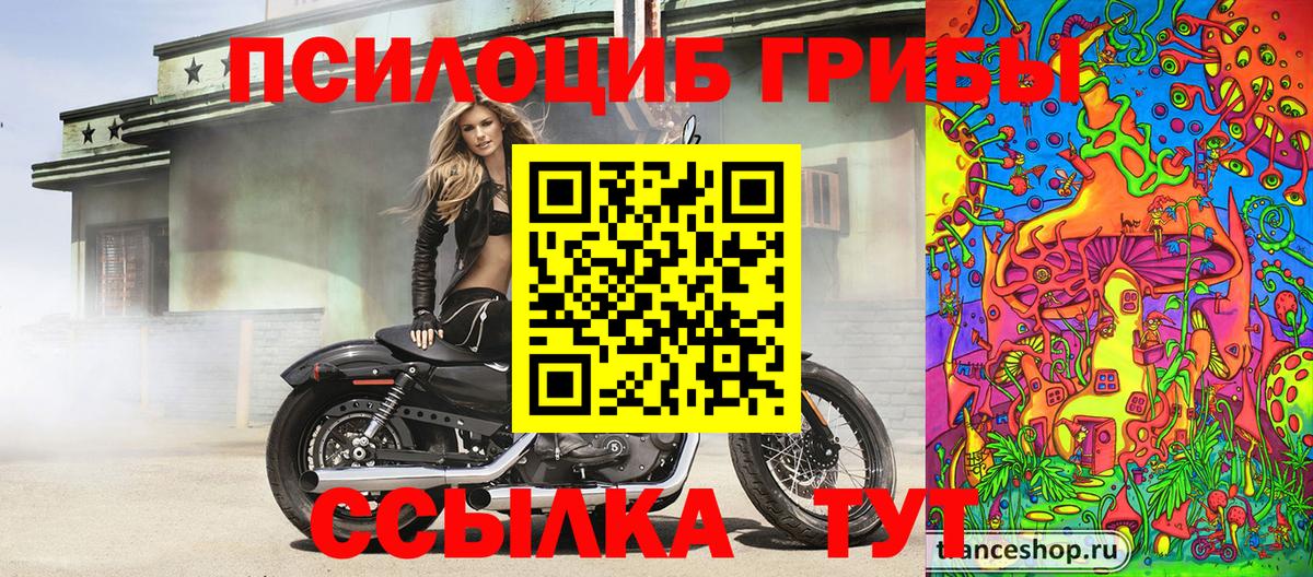 Псилоцибиновые грибы Magic Shrooms  Вход с VPN  Дзержинск 